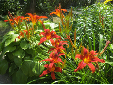 �������� ������� �����