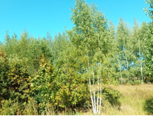 20210828 �300 ��������� 130807.jpg