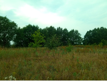 20210821 ������� � �����  095516.jpg