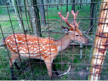 20210821 ������� � �����  141337.jpg