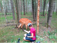 20210821 ������� � �����  142239.jpg