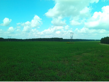 20210731 ��� ������ ������ 1209.jpg