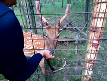 20210821 ������� � �����  141341.jpg