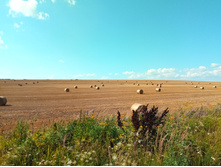 20210731 ��� ������ ������ 1447.jpg