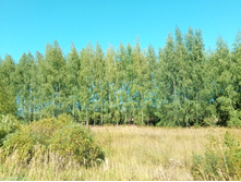 20210828 �300 ��������� 130803.jpg