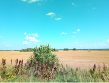 20210731 ��� ������ ������ 1450.jpg