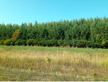 20210828 �300 ��������� 130233.jpg