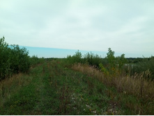 20210814 ����������� �������� 123306.jpg