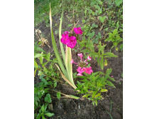 IMG 20210822 095701.jpg