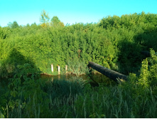 20210814 ����������� �������� 172650.jpg