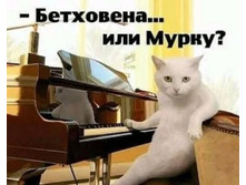 ��������� ... ��� �����?