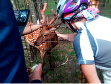 20210821 ������� � �����  141451.jpg