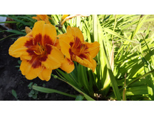 6� ��������. ���� 130�