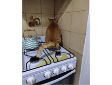 ��������� ����� ����? �� ���ң�!