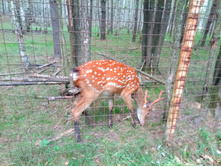 20210821 ������� � �����  142641.jpg