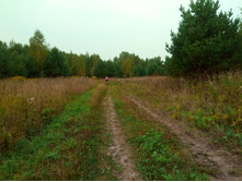 20210821 ������� � �����  111557.jpg