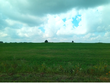 20210731 ��� ������ ������ 1124.jpg