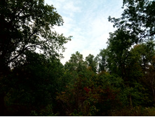 20210821 ������� � �����  122230.jpg