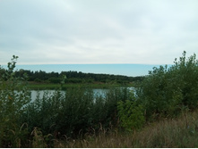 20210814 ����������� �������� 123256.jpg