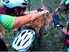 20210821 ������� � �����  141256.jpg