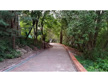 IMG 20210731 200623.jpg