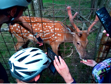 20210821 ������� � �����  141300.jpg