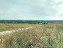 20210814 ����������� �������� 131239.jpg