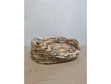 800�. ����� "�������� �������" �������