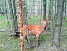 20210821 ������� � �����  142650.jpg