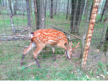 20210821 ������� � �����  142640.jpg