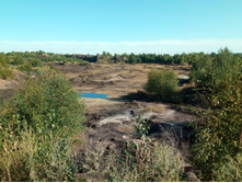 20210814 ����������� �������� 160350.jpg