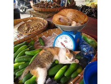 �� ���, �������� ��� ����������, ����� � �������!