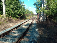 20210814 ����������� �������� 154652.jpg