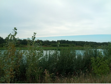 20210814 ����������� �������� 123300.jpg