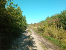 20210814 ����������� �������� 163353.jpg