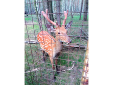 20210821 ������� � �����  141748.jpg