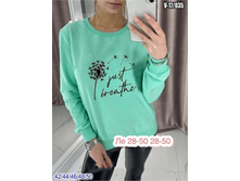 7e50d90100610d3e490a527 (1).png