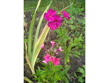 IMG 20210822 095717.jpg