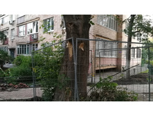 IMG 20210731 200906.jpg