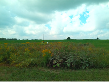 20210731 ��� ������ ������ 1126.jpg