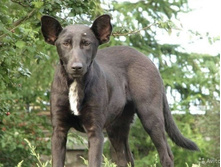 Photo 2021-08-25 12-43-14.jpg