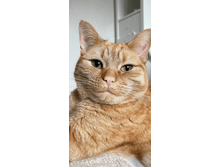 ���! ���������!