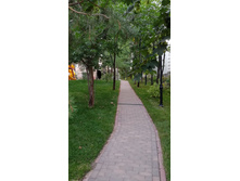 IMG 20210731 200738.jpg