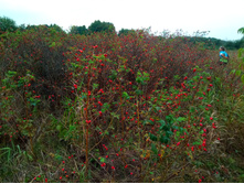 20210821 ������� � �����  095512.jpg