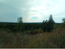 20210814 ����������� �������� 130826.jpg