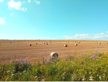 20210731 ��� ������ ������ 1448.jpg