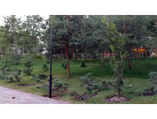 IMG 20210731 200505.jpg