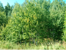 20210828 �300 ��������� 130448.jpg