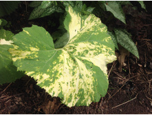 ������������