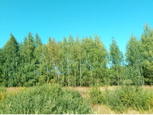 20210828 �300 ��������� 130755.jpg